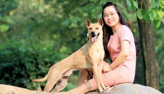 Chó Phú Quốc – Một trong 3 dòng chó Xoáy trên thế giới